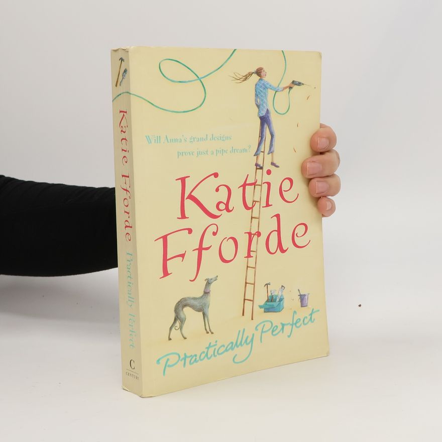Katie Fforde Practically Perfect