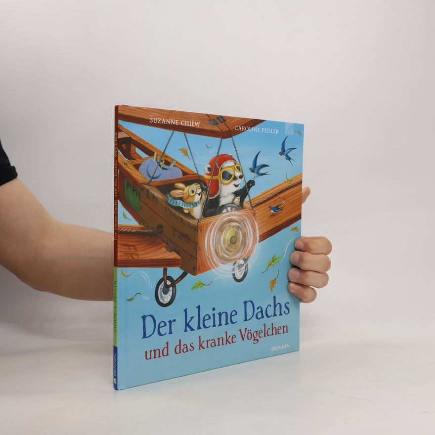 Suzanne Chiew Der kleine Dachs und das kranke Vögelchen