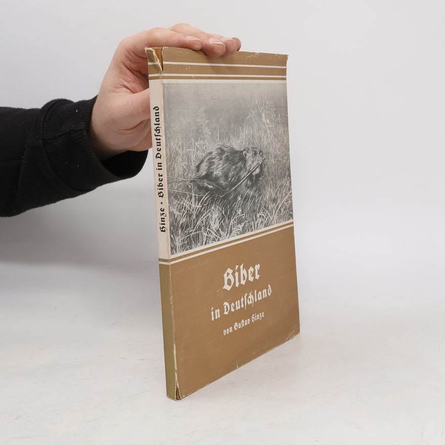 Gustav Hinze Biber in Deutschland