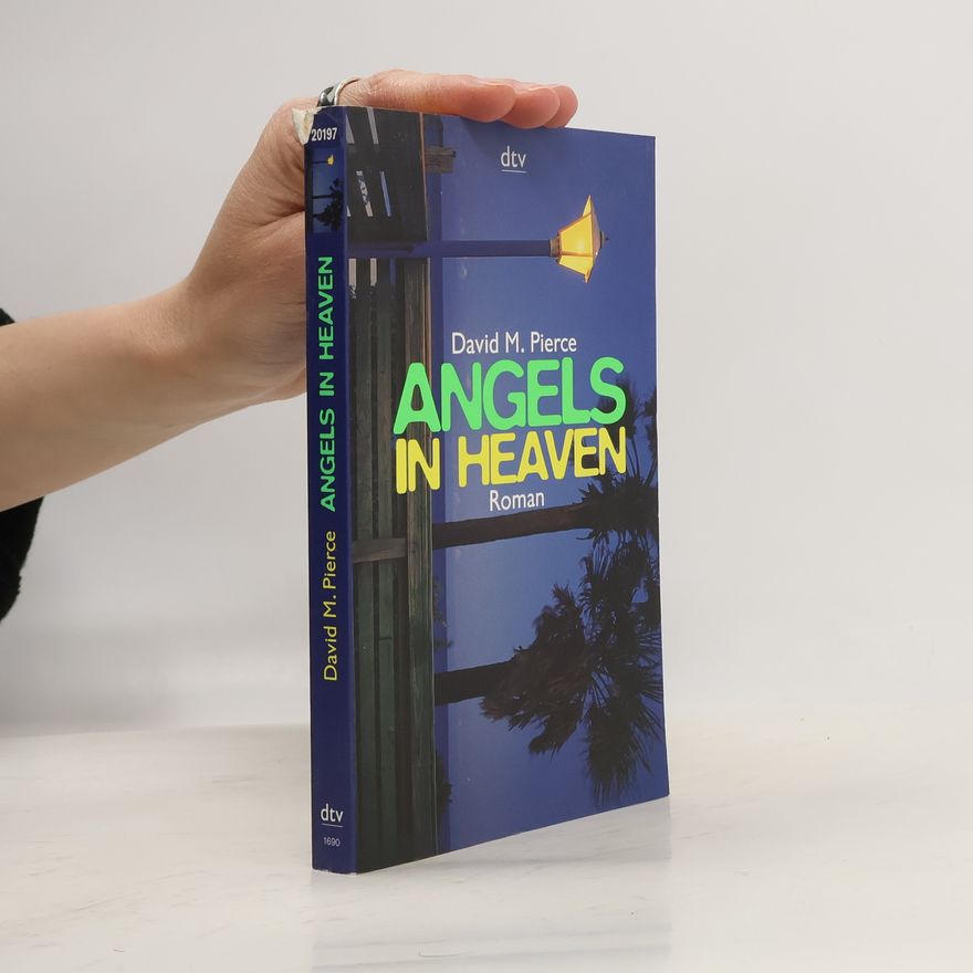 David M. Pierce dtv Unterhaltung: Angels in Heaven