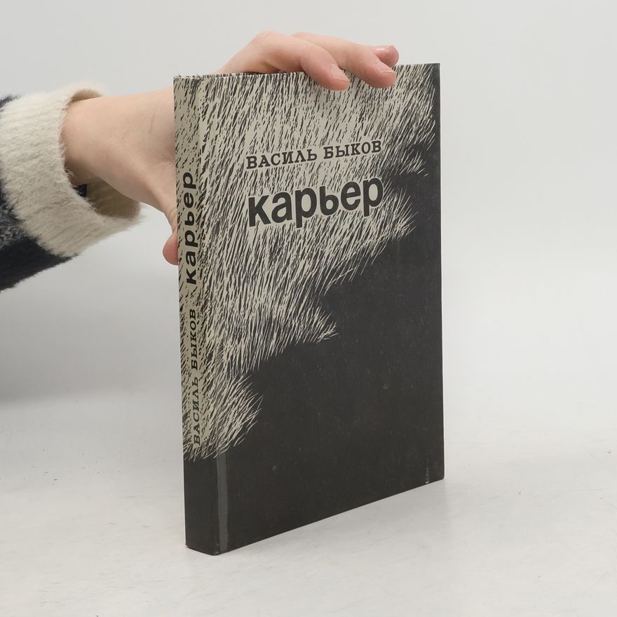 Vasilij Vladimirovič Bykov Карьер