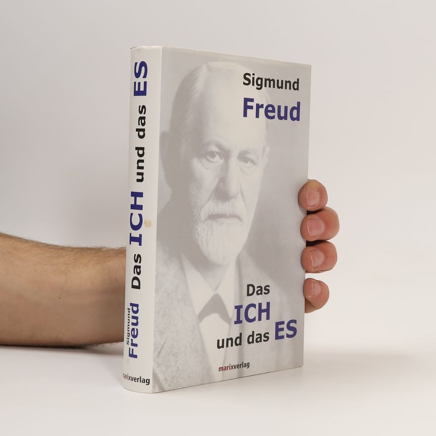 Sigmund Freud Das Ich und das Es und andere Abhandlungen