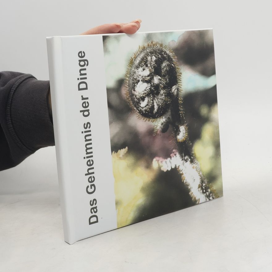 Bea Heller Das Geheimnis der Dinge