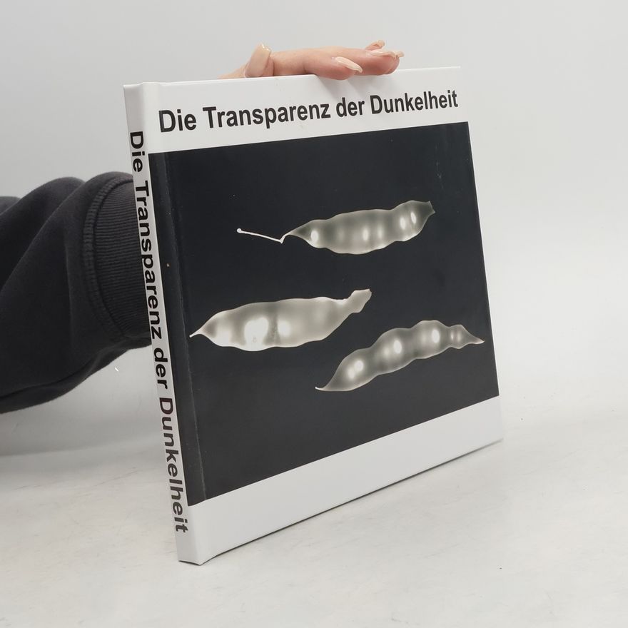 Bea Heller Die Transparenz der Dunkelheit