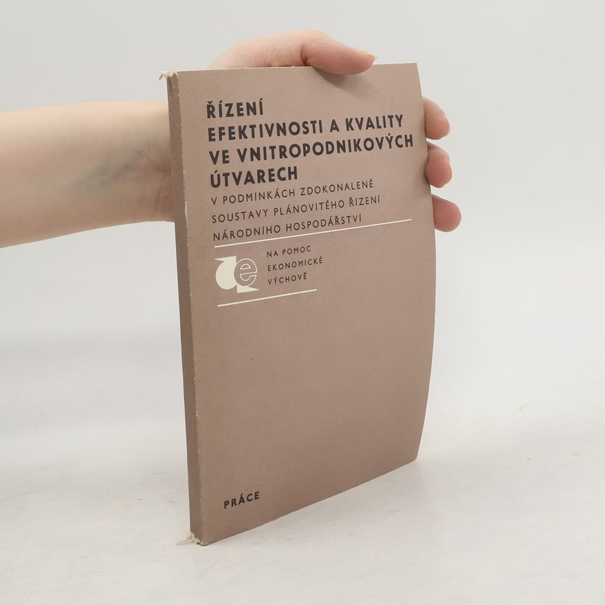 Autorenkollektiv Řízení efektivnosti a kvality ve vnitropodnikových útvarech