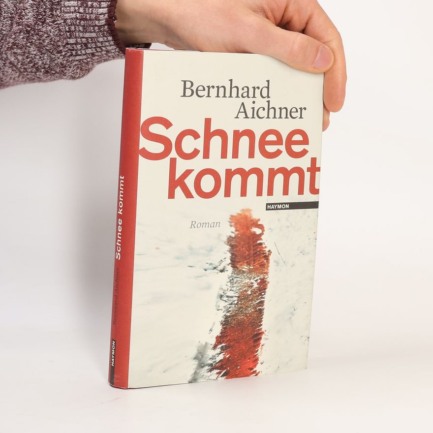 Bernhard Aichner Schnee kommt