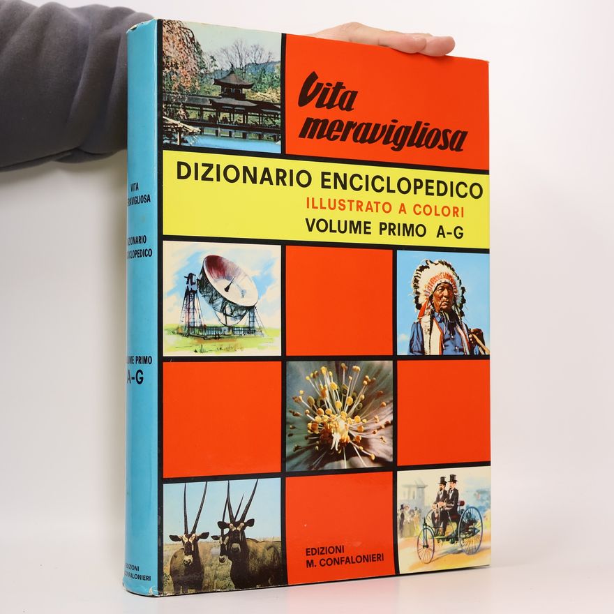 Kolektív autorov Vita meravigliosa. Dizionario enciclopedico 1 A-G