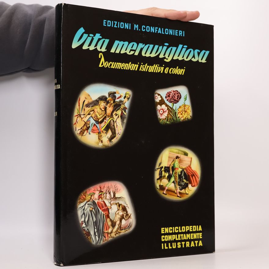 Autorenkollektiv Vita meravigliosa VI