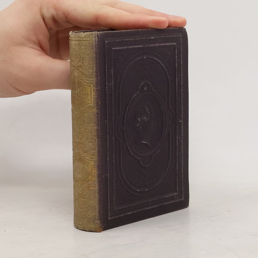 Johann Wolfgang von Goethe Sämtliche Werke 13