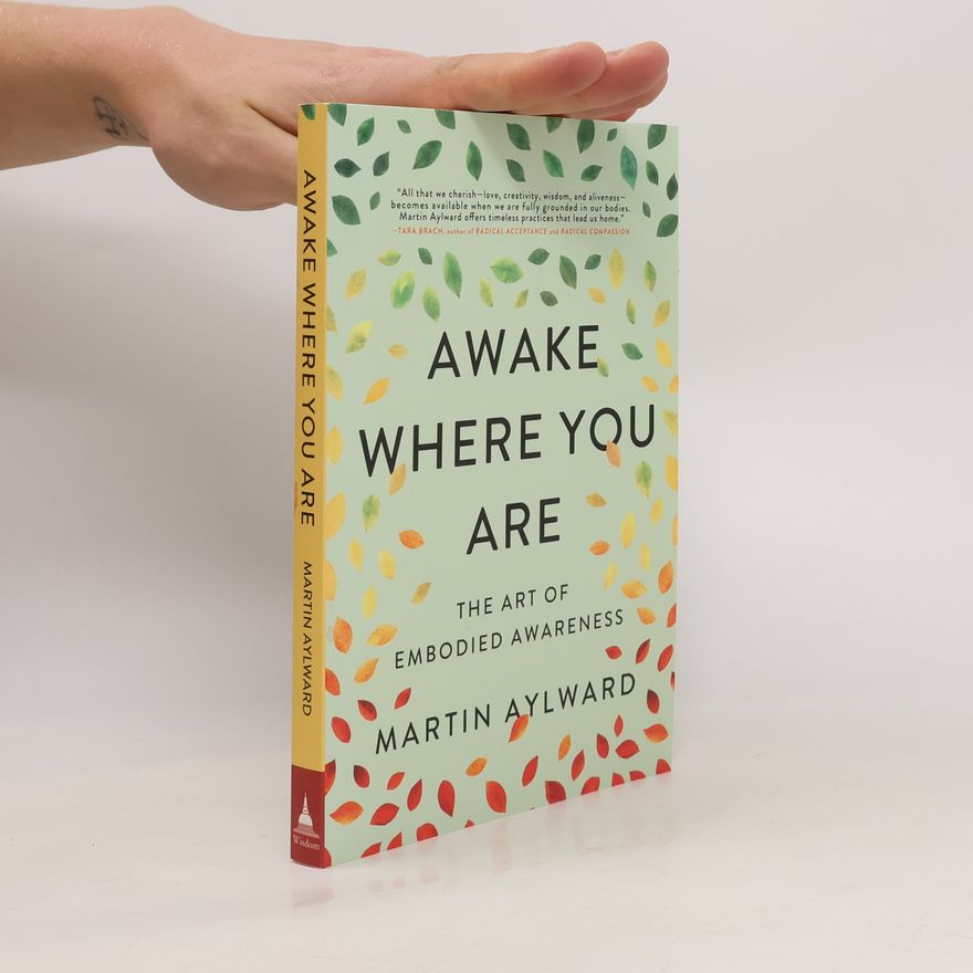 Martin Aylward Awake Where You Are