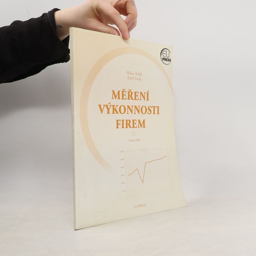 Emil Vacík Měření výkonnosti firem