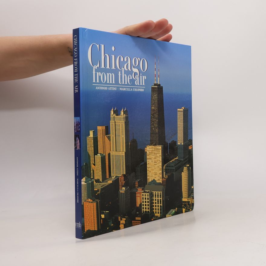 Antonio Attini Chicago from the air
