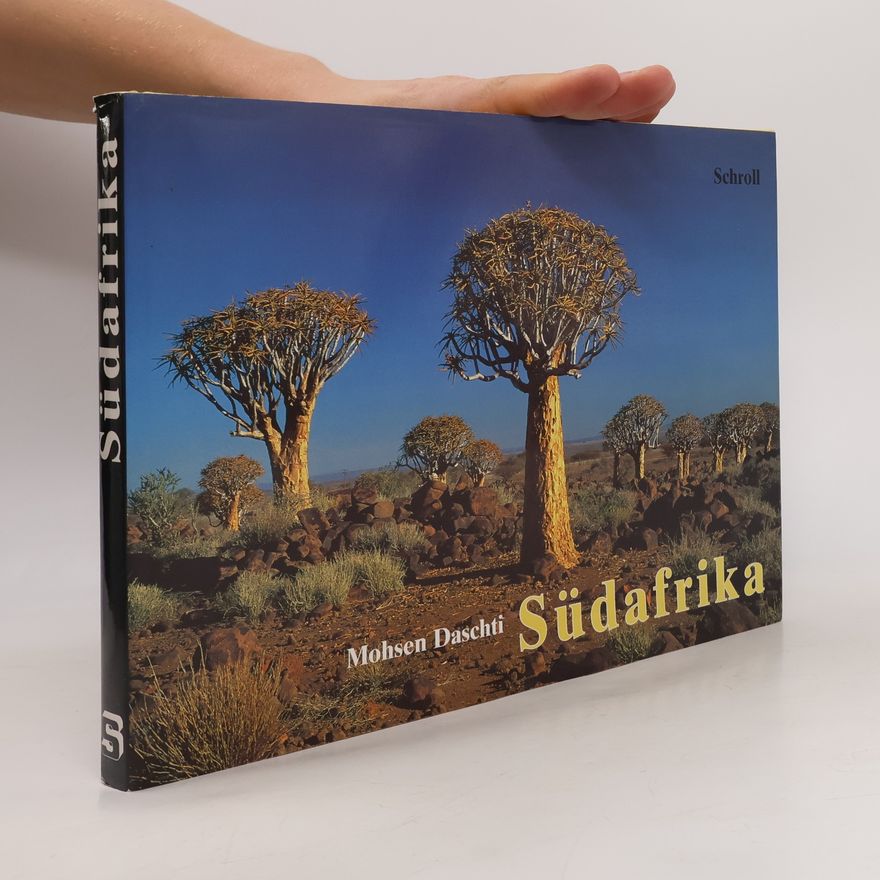 Mohsen Daschti Südafrika