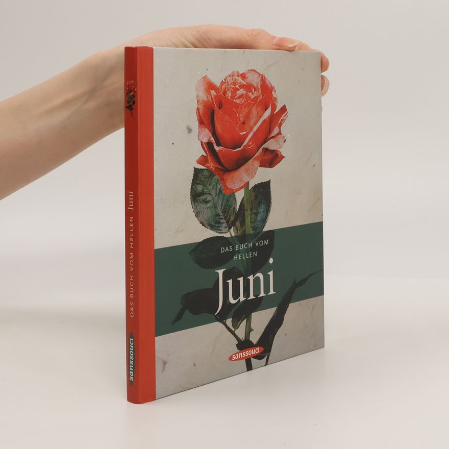 Bernd Schroeder Das Buch vom hellen Juni