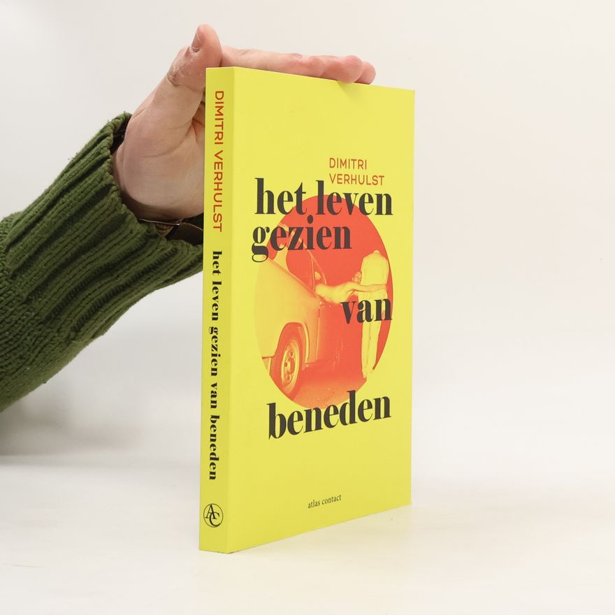 Dimitri Verhulst Het leven gezien van beneden