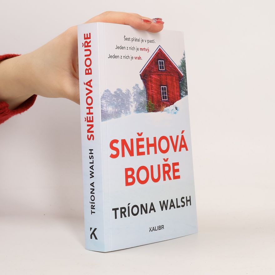 Tríona Walsh Sněhová bouře