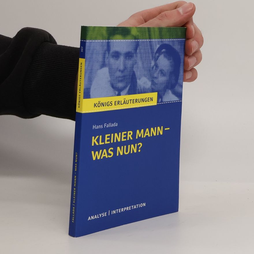 Daniel Rothenbühler Hans Fallada : Kleiner Mann – was nun?