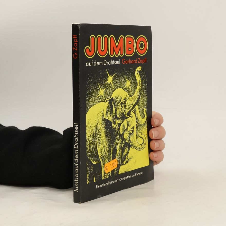 Gerhard Zapff Jumbo auf dem Drahtseil