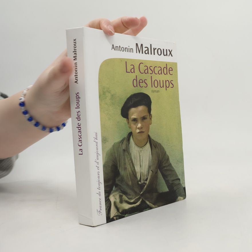 Antonin Malroux La cascade des loups