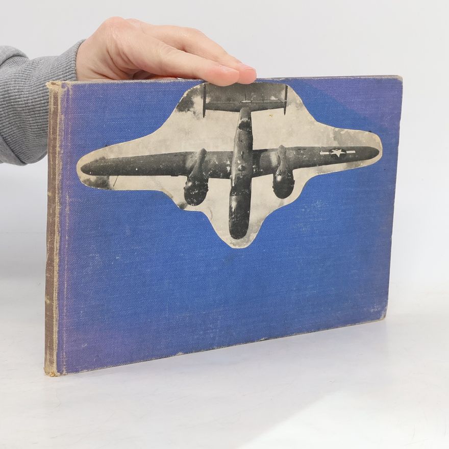 Eric Sargent What is That Aeroplane?
