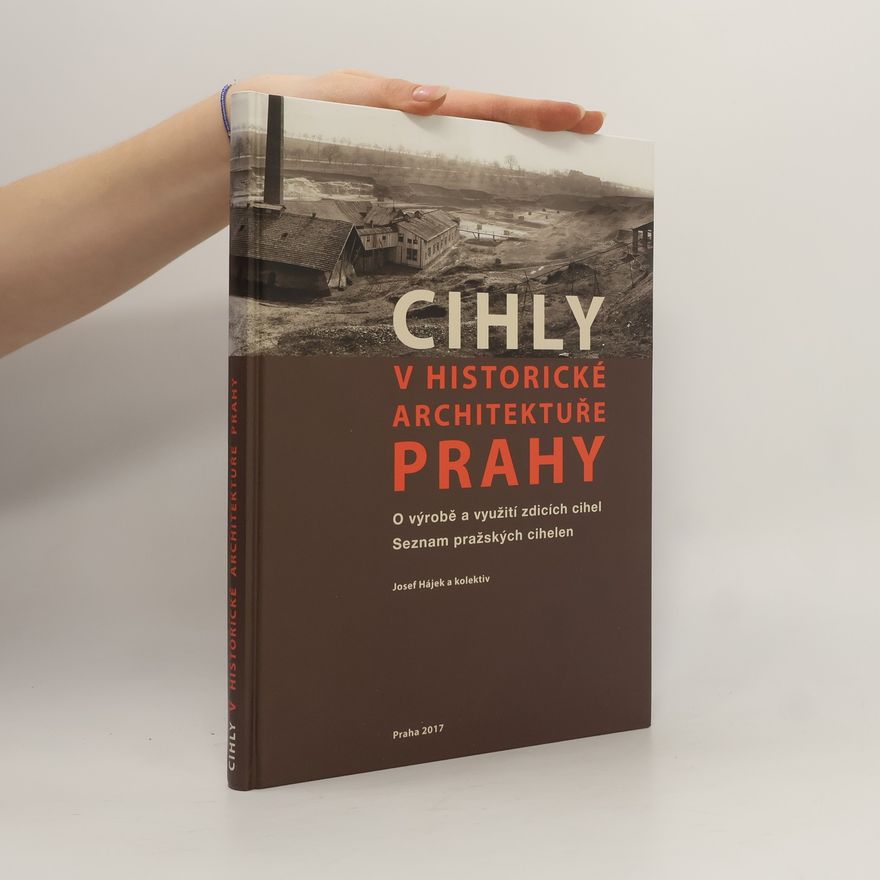 Veronika Koberová Cihly v historické architektuře Prahy. O výrobě a využití zdicích cihel. Seznam pražských cihelen