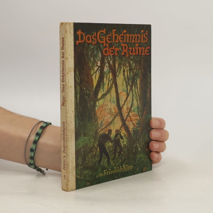 Friedrich Kipp Das Geheimnis der Ruine