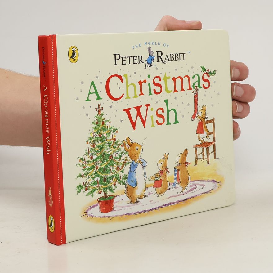 Kolektiv autorů A Christmas Wish