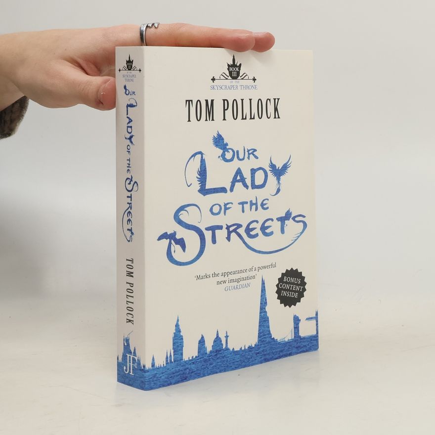 Tom H. Pollock Our Lady of the Streets