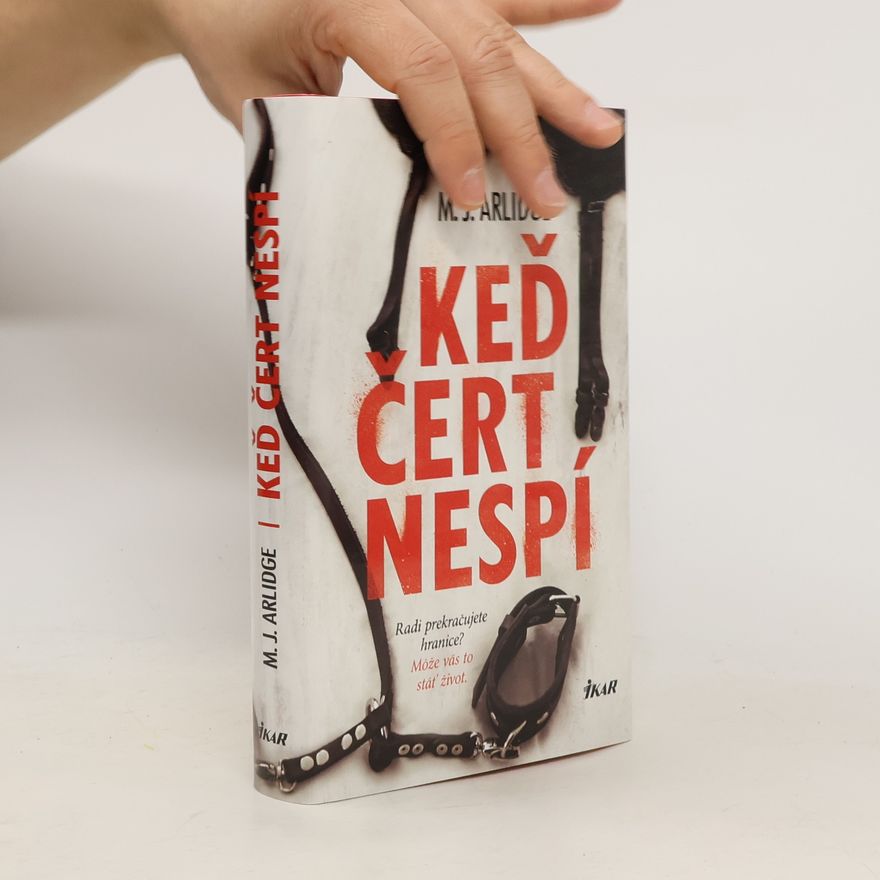 M. J. Arlidge Keď čert nespí