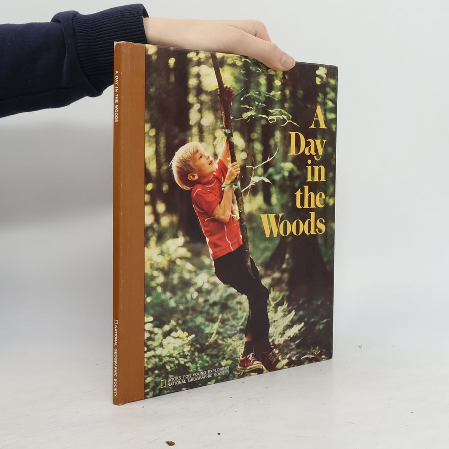 kolektiv A Day in the Woods