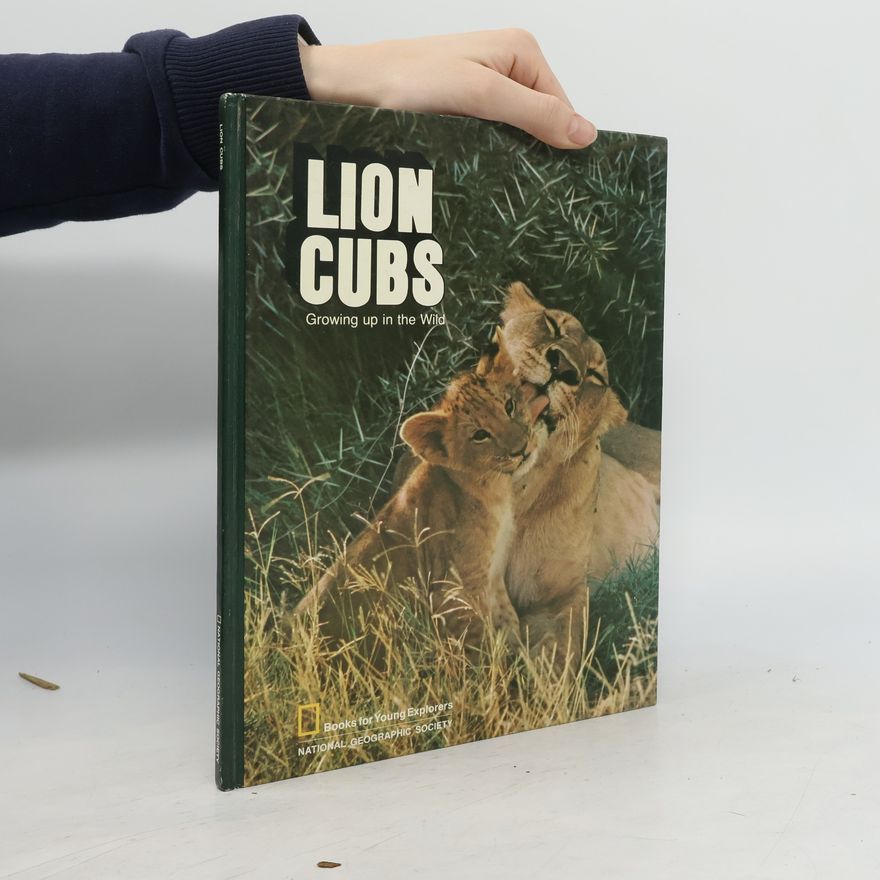 kolektiv Lion Cubs