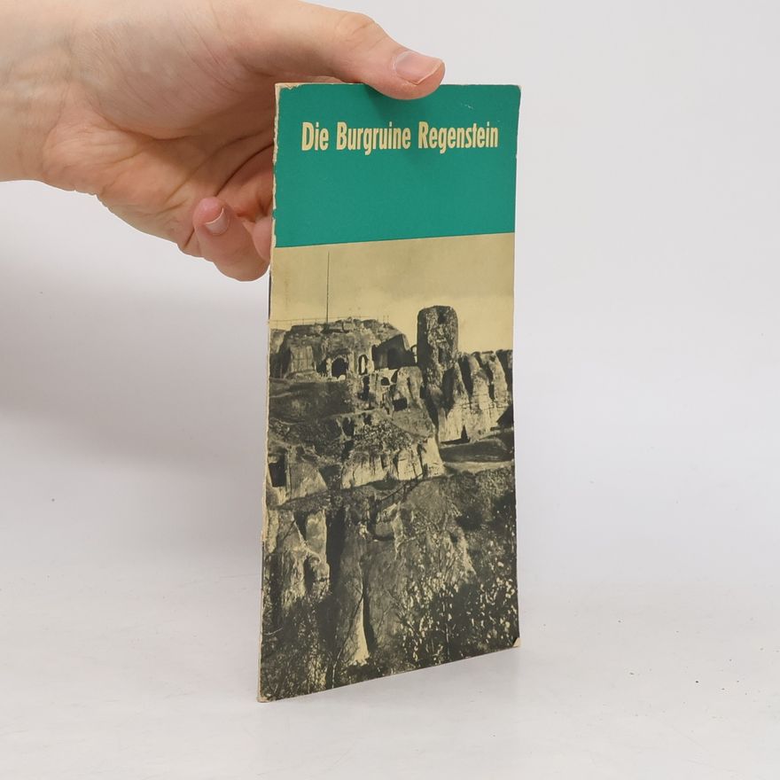 Erich Dülsner Die Burgruine Regenstein
