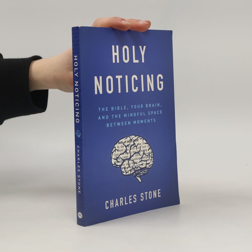 Charles Stone Holy Noticing