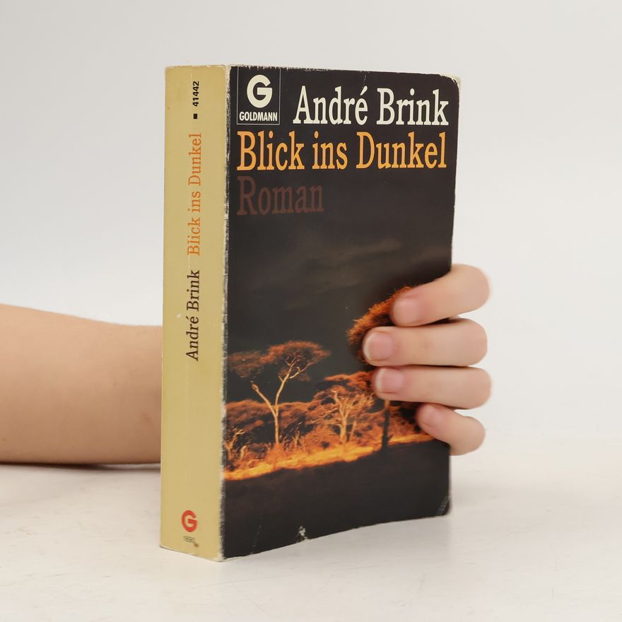 André Brink Blick ins Dunkel