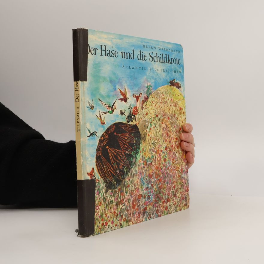 Brian Wildsmith Der Hase und die Schildkröte