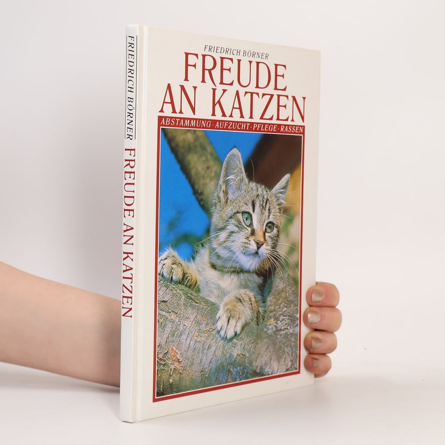 Friedrich Börner Freunde an Kleinen Katzen