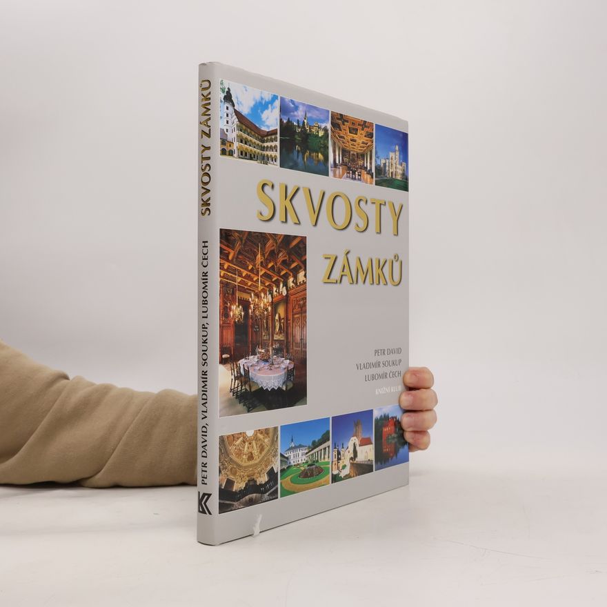Peter David Skvosty zámků