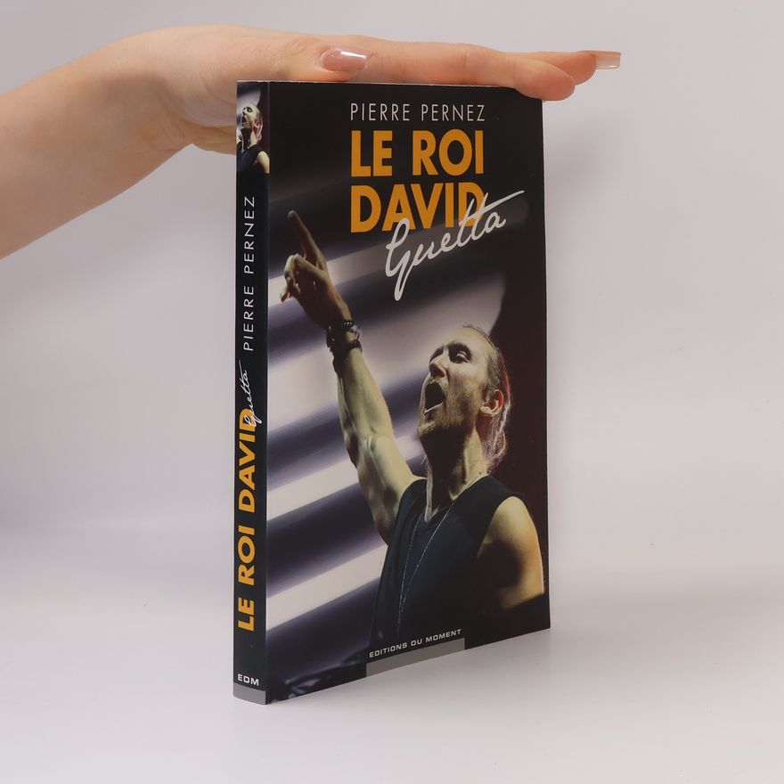Pierre Pernez Le roi David Guetta