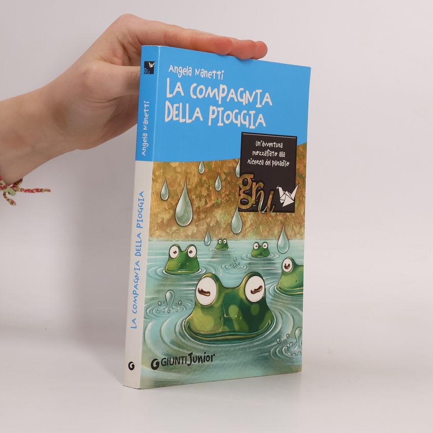 Angela Nanetti La compagnia della pioggia