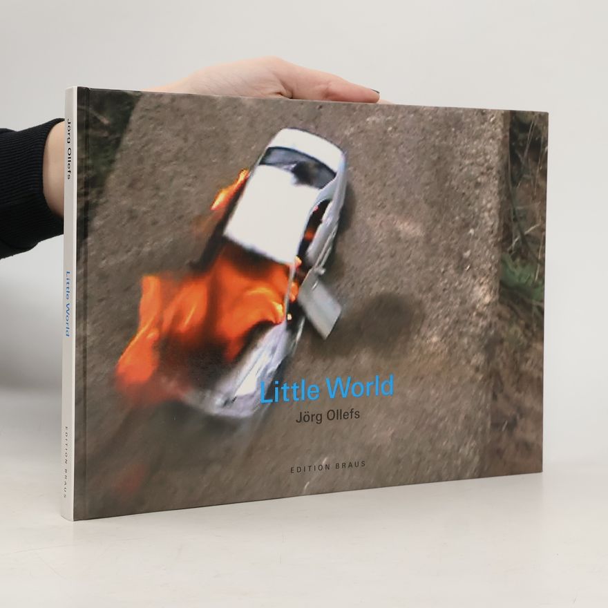 Jörg Ollefs Little world