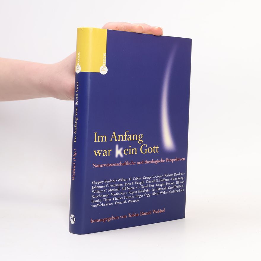 Tobias Daniel Wabbel Im Anfang war kein Gott