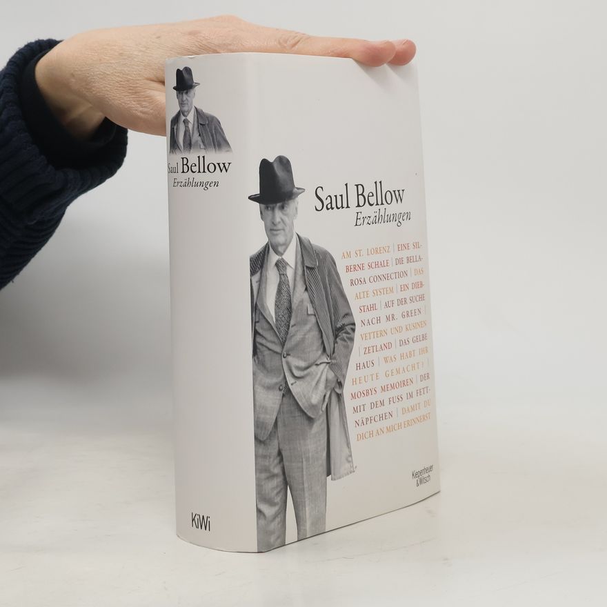Saul Bellow Erzählungen