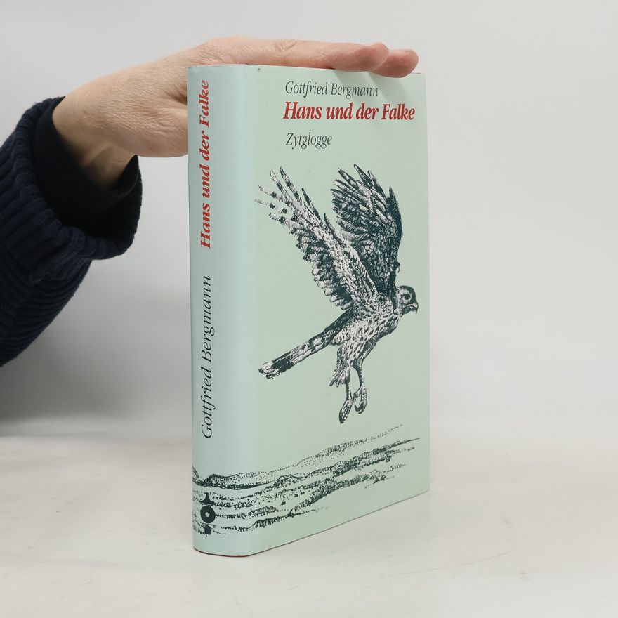 Gottfried Bergmann Hans und der Falke