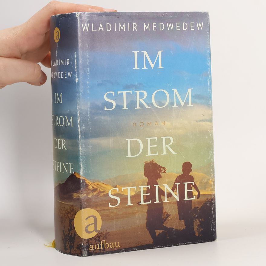 Vladimir Medvedev Im Strom der Steine