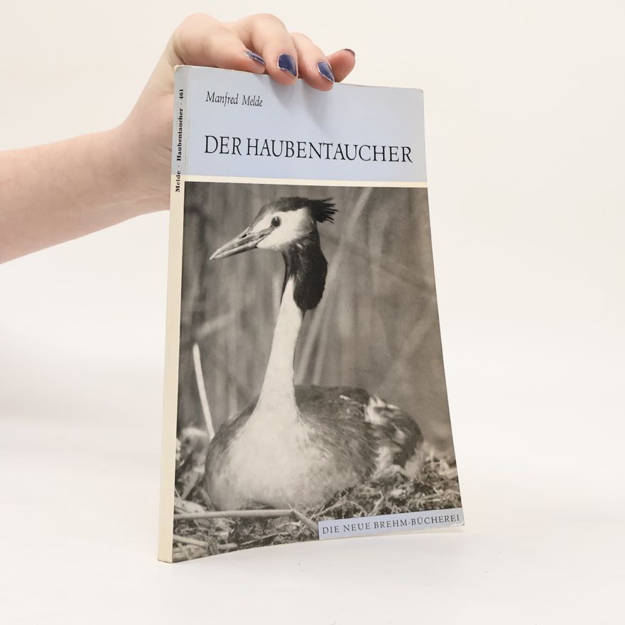 Manfred Melde Der Haubentaucher