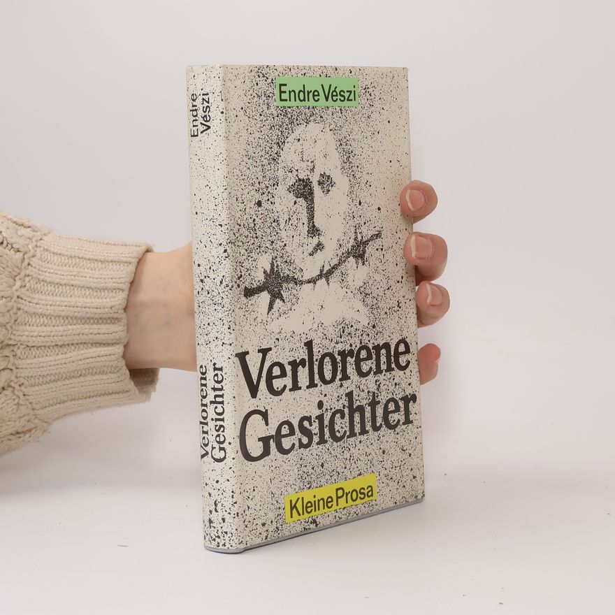 Endre Vészi Verlorene Gesichter