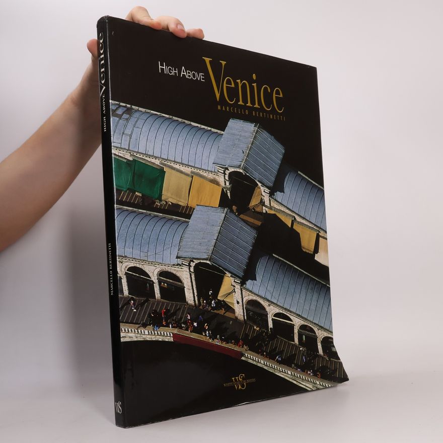 Simona Stoppa High Above Venice