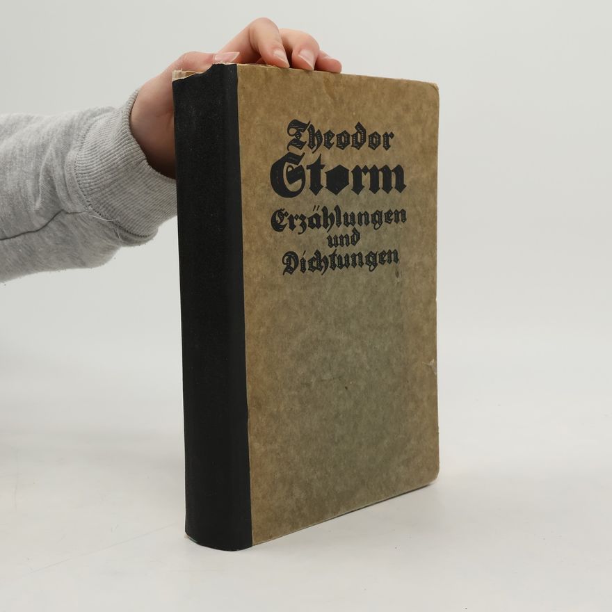 Theodor Storm Erzählungen und Dichtungen