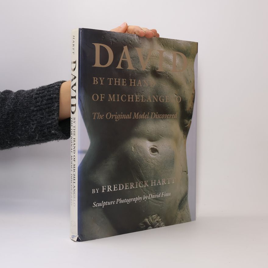 M. di Lodovico Buonarroti Simoni David, by the Hand of Michelangelo
