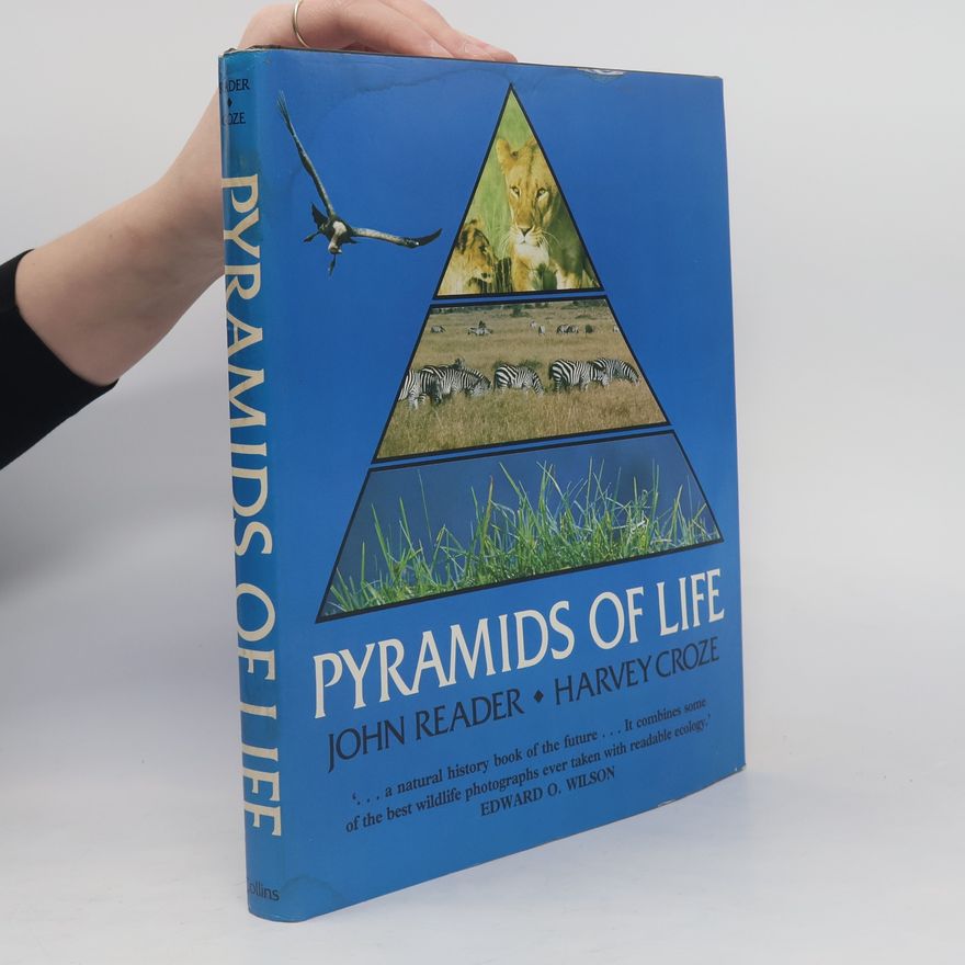 Harvey Croze Pyramids of Life